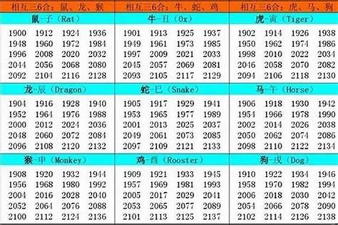 2002生肖五行|2002 年出生属什么生肖